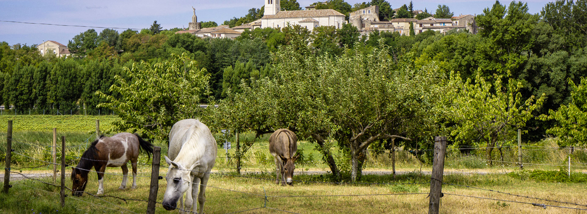 Montboucher, bien vivre ici